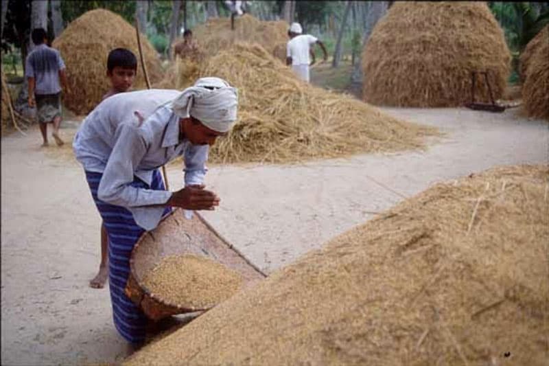 කෘෂි ආර්ථික ගමන්මග කොයිබටද? | චරිත හේරත්