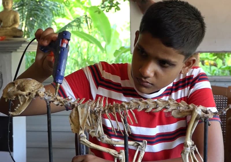 සත්ත්ව විද්‍යාඥයෙකු වීමට සිහින දකින මිහින්තලේ 'පුංචි දිල්හාරගේ' කතාව