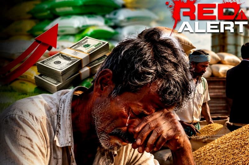 පොහොර ප්‍රසම්පාදනයේ බිලියන 1.8ක පාඩුවක් ගැන අල්ලස් කොමිසමට පැමිණිල්ලක්