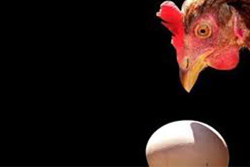 පළමුව එලියට ආවේ බිත්තරයද? කුකුල් පැටියාද?: 'වියත්මඟ' අයිතිය බෙදා ගැනීමට තරඟයක් !