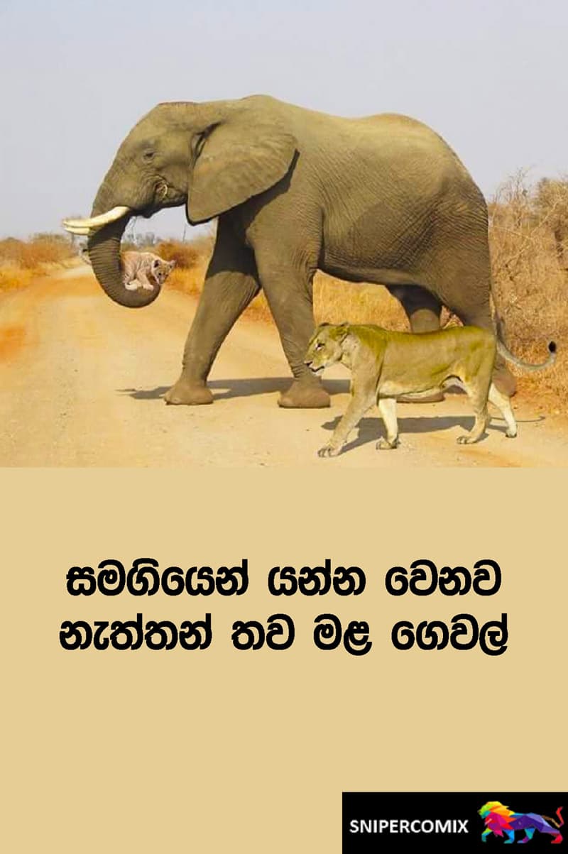 සමගියෙන් යන්න වෙනවා..