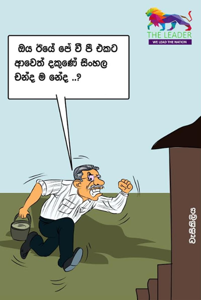 දකුණේ ඡන්ද නේද?