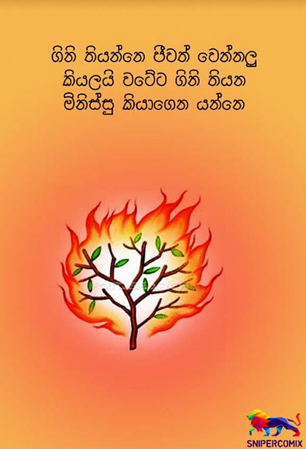 ගිනි තියන්නෙත් ජීවත් වෙන්නලු...