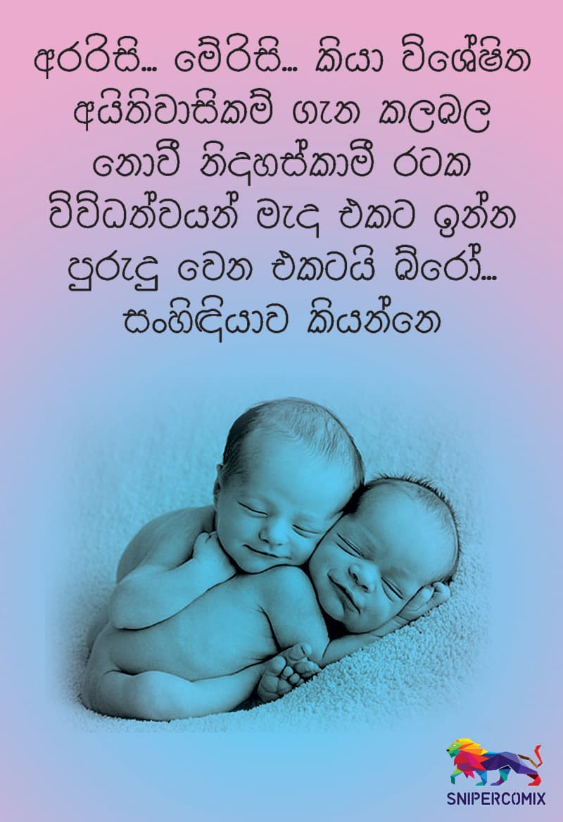 විවිධත්වයේ නිදහස...