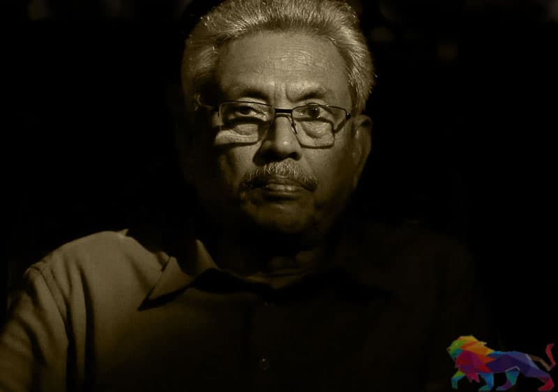 ගෝඨාභය පොහොට්ටුවෙන් තරග නොකළා නම් පරදිනවා ද? - මහාචාර්ය නලින් ද සිල්වාගේ විග්‍රහයක්