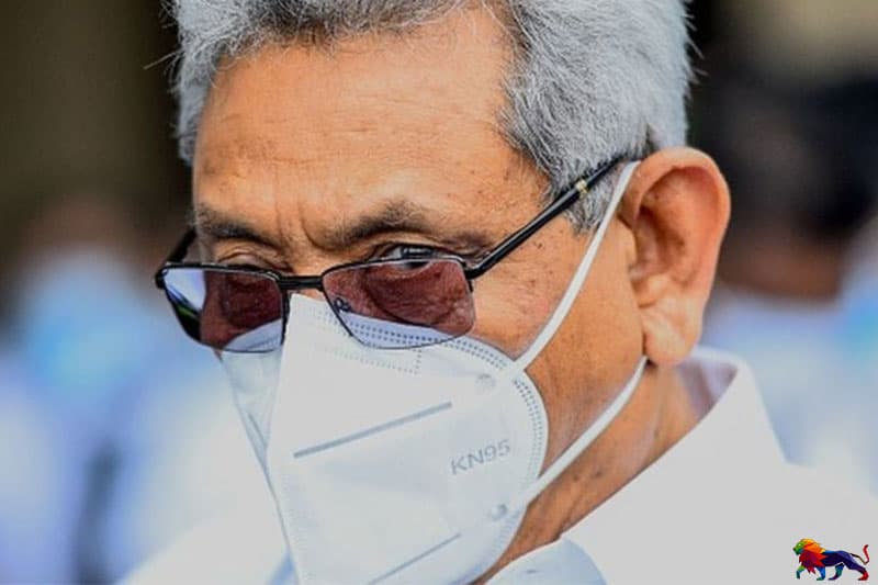 2020 මහ මැතිවරණය, ශ්‍රේෂ්ඨාධිකරණ තීන්දුව සහ ජනාධිපති බලතල