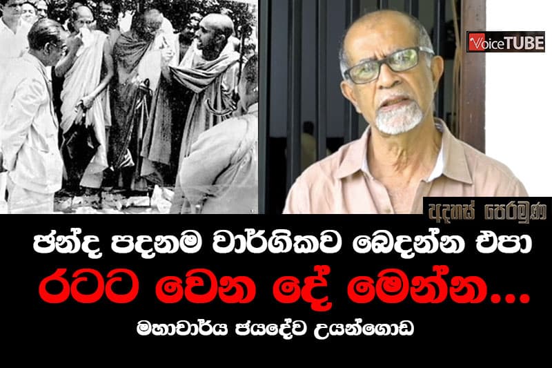 'ඡන්ද පදනම වාර්ගිකව බෙදන්න එපා' - රටට වෙන දේ මෙන්න ...! මහාචාර්ය ජයදේව උයන්ගොඩ