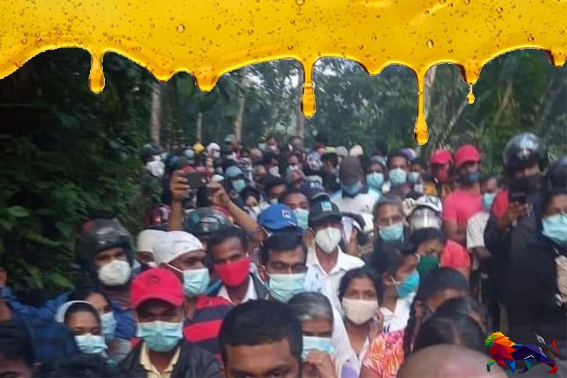 'පැණි' බේරෙන අවුරුද්දක් ගතවිය - ගාමිණී වියන්ගොඩ