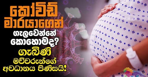 කෝවිඩ් මාරයාගෙන් ගැලවෙන්නේ කොහොමද? ගැබිණි මව්වරුන්ගේ අවධානය පිණිසයි!