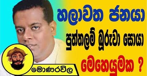 හලාවත ජනයා පුත්තලම් බූරුවා සොයා මෙහෙයුමක ?