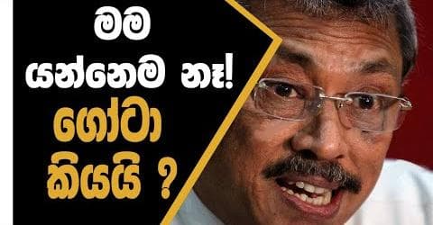 මම යන්නෙම නෑ ගෝටා කියයි