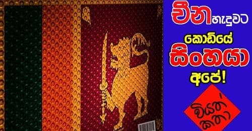 චීන හැදුවට කොඩියේ සිංහයා අපේ..!