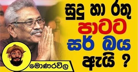 සුදු හා රතු පාටට සර් බය ඇයි ?