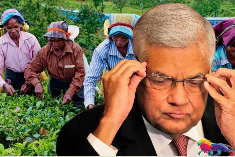  වතුකරයෙන් ජනාධිපති රනිල්ට ඉල්ලීම් රැගත් සන්දේශයක්