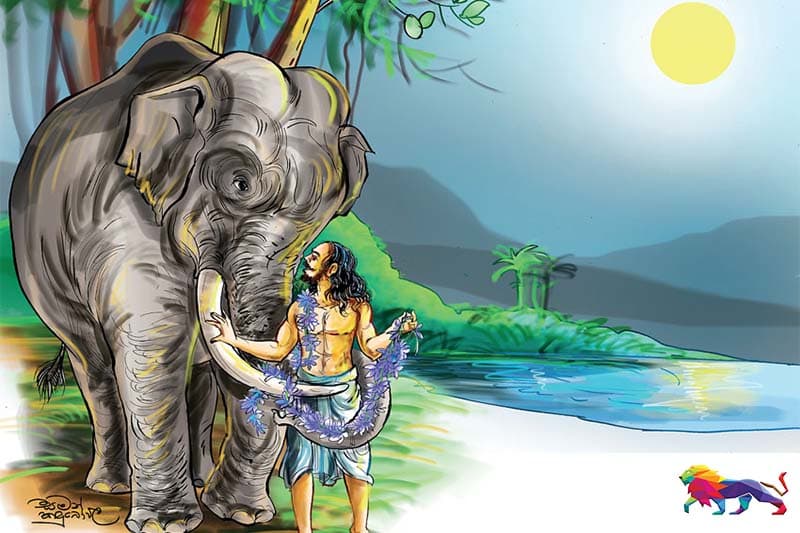 ඇතෙකුට පෙම් බැඳි සාරමාරු ලේකම් ආලෝක - (වායාම 37 - සුජිත් අක්කරවත්ත)
