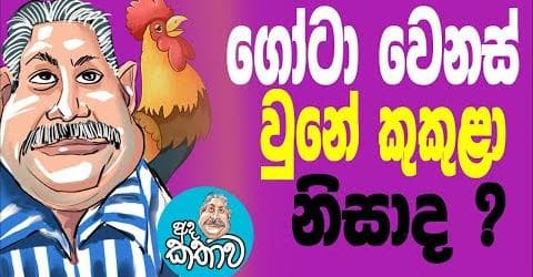 ගෝටා වෙනස් වුනේ කුකුළා නිසාද?