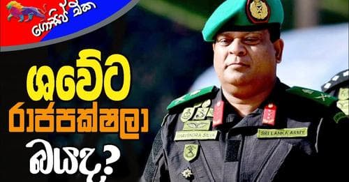 ශවේට රාජපක්ෂලා බයද?