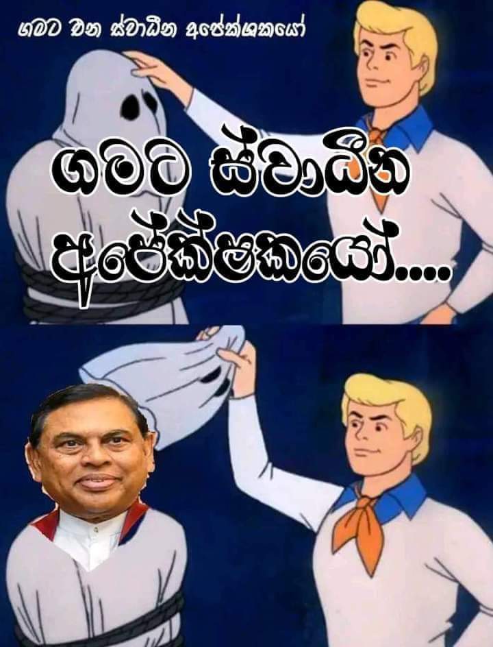 ගමට එන ස්වාධීන අපේක්ෂකයෝ...