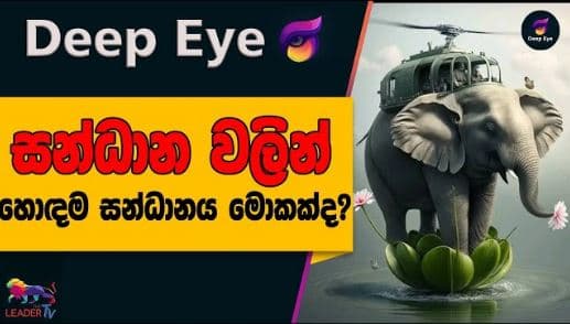 සන්ධාන වලින් හොඳම සන්ධානය මොකක් ද? | DEEP EYE | The Leader TV