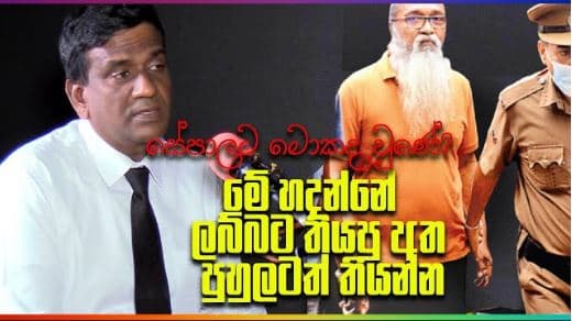 සේපාලට මොකද වුණේ ??? මේ හදන්නේ ලබ්බට තියපු අත පුහුලටත් තියන්න | The Leader TV