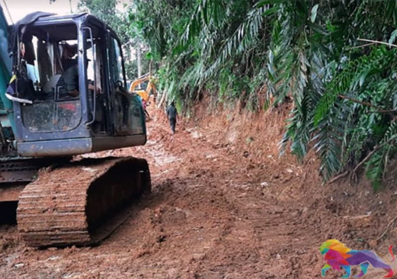 සිංහරාජයේ ගිනි පත්තු වේ. - චින්තන ධර්මදාස (වීඩියෝ)