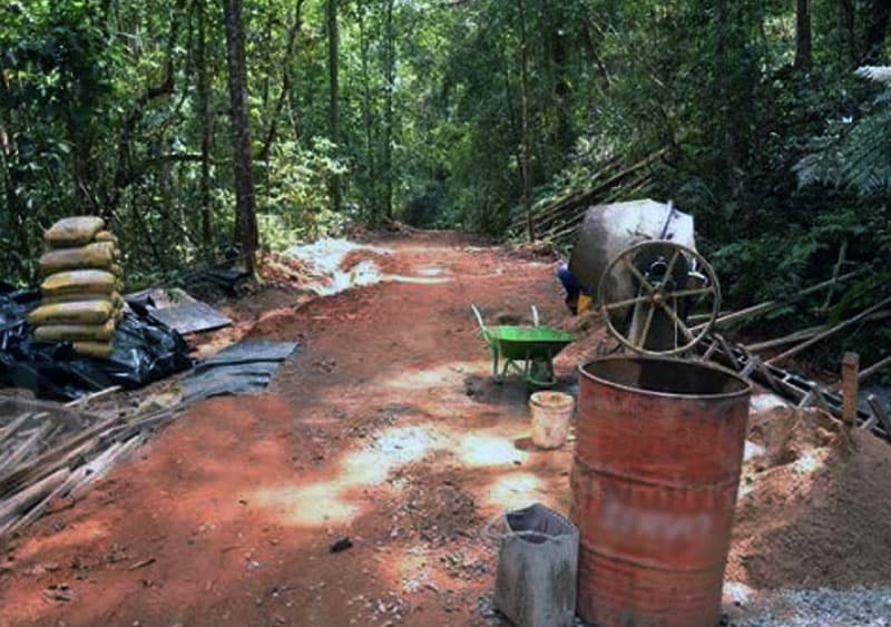 සිංහරාජය ; දෙපලු වන වන මැදින් මාවතක් මැවෙයි : 'මෝසම් දෙකිඳ' - (මංජුල වෙඩිවර්ධන)