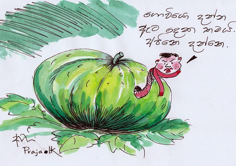 බැසිල්ගේ වට්ටක්කා ඇට දෙක ! - අජිත් පැරකුම් ජයසිංහ