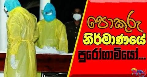 පොකුරු නිර්මාණයේ පුරෝගාමියෝ...