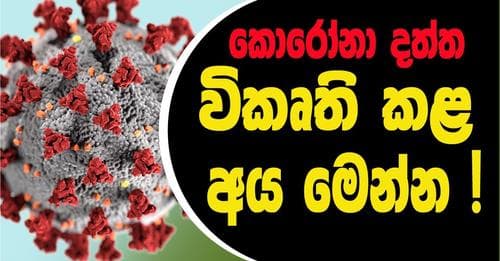 කොරෝනා දත්ත විකෘති කළ අය මෙන්න