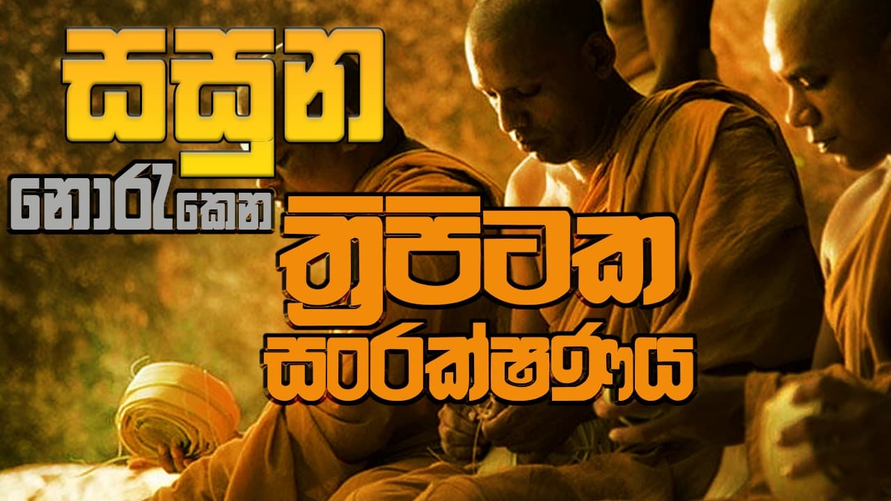 ඇමති නමට සසුන පවරන ත්‍රිපිටක සංරක්ෂණ පනත!