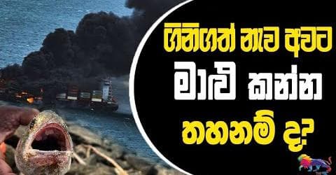 ගිනිගත් නැව අවට මාළු කන්න තහනම් ද?