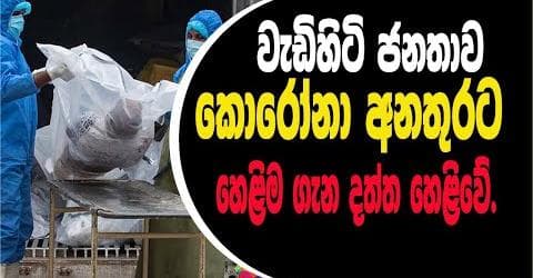 වැඩිහිටි ජනතාව කොරෝනා අනතුරට හෙළිම ගැන දත්ත හෙළිවේ