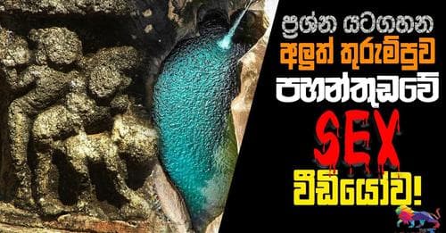 යටගහපු ප්‍රශ්න අලුත් කරන පහන්තුඩාව SEX වීඩියෝව!