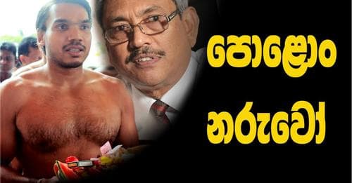පොළොං නරුවෝ