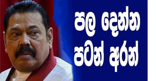 පල දෙන්න පටන් අරන්