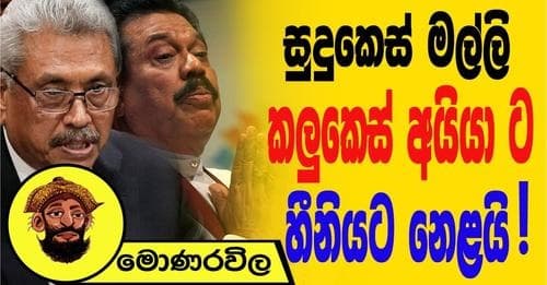සුදුකෙස් මල්ලී කලුකෙස් අයියාට හීනියට නෙළයි!