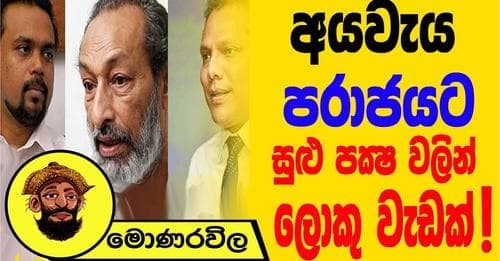 අයවැය පරාජයට සුළු පක්‍ෂ වලින් ලොකු වැඩක් !