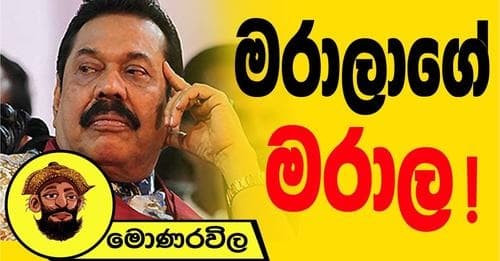 මරාගේ මරාල !