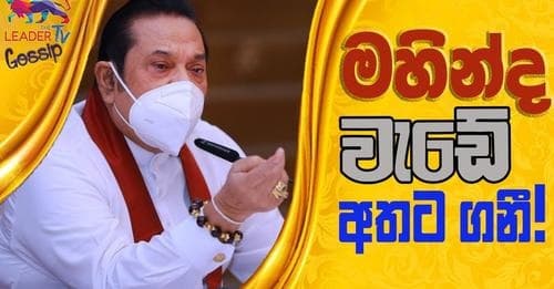 මහින්ද වැඩේ අතට ගනී!