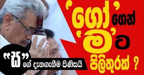 "ගෝ " ගෙන් "ම" ට පිළිතුරක් !
