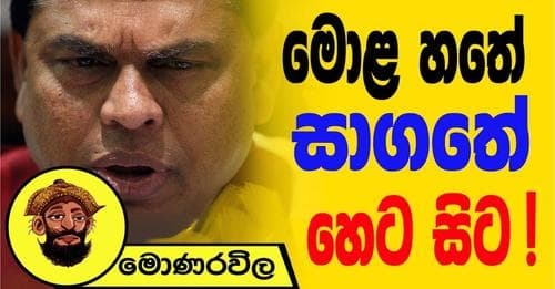 මොළ හතේ සාගතේ හෙට සිට!