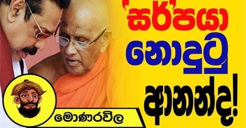 සර්පයා නොදුටු ආනන්ද ! | මොණරවිල ලියමන