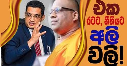 එක රටට, නීතියට අලි වලි ?