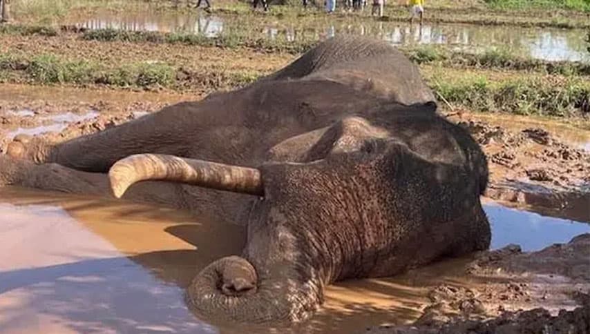 කාවන්තිස්සට වෙඩි තැබූ නිශ්චිත සාක්ෂි කෝ?