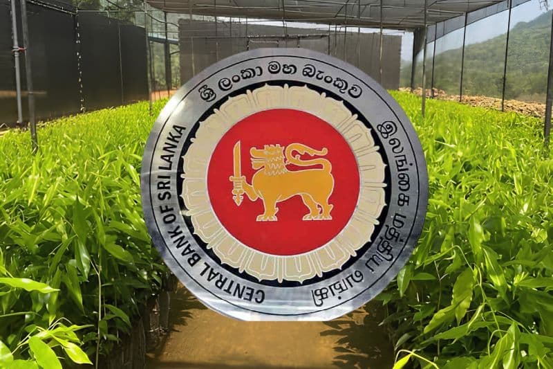 මහ බැංකු අනතුරු ඇඟවීම: වගා ආයෝජන මුදල් වෙනත් ව්‍යාපාරවලට