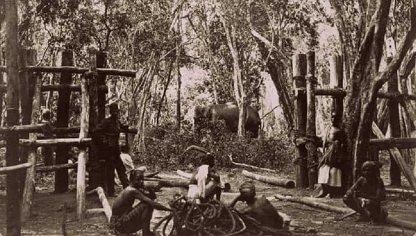 පනාමුරේ කතාව (14 කොටස) : පනාමුරේ ඇත්ගාලට මුල පුරයි | ඉන්දු පෙරේරා