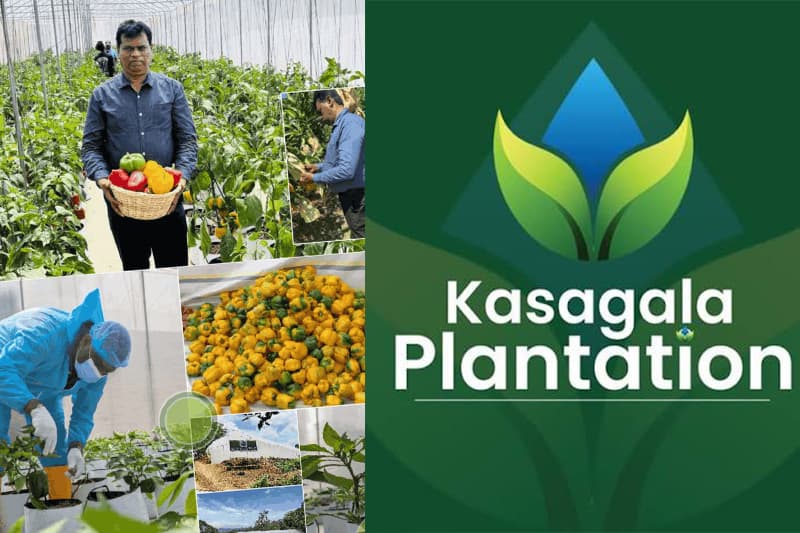 කසගල වත්කම් තහනම: ආයෝජකයෝ නිහඬ ඇයි?