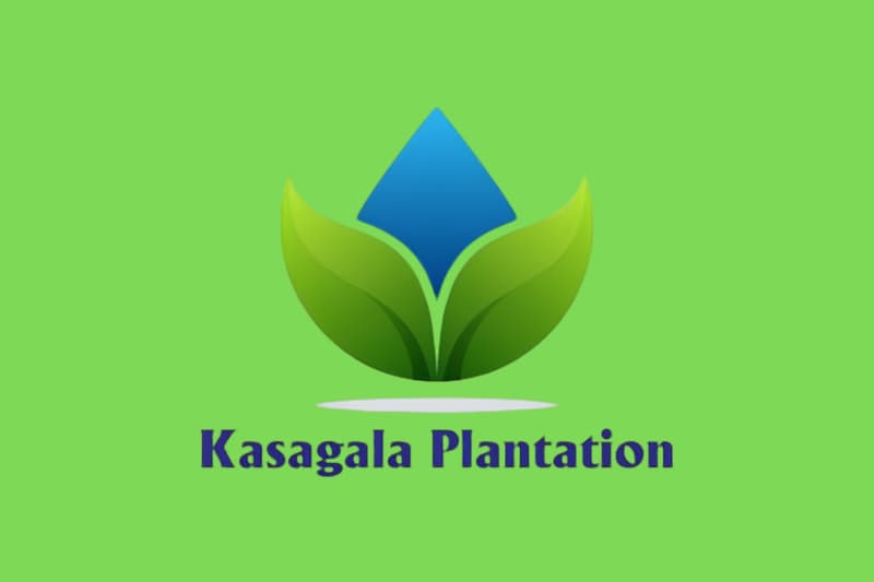 කසාගල ග්‍රීන් ප්ලාන්ටේෂන් අර්බුදය: කෘෂිකර්මයේ මුවාවෙන් කළ මූල්‍ය මෙහෙයුම?