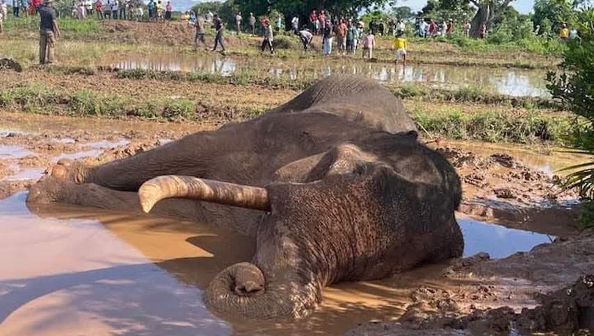 කාවන්තිස්ස කුඹුරක ඇදවැටෙයි: ඩ්‍රෝන නිරීක්ෂණ සැලසුම් අතර බිම්මට්ටමේ අර්බුදයක්