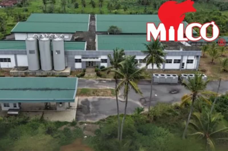 මිල්කෝ අර්බුදය: බිලියන ගණනක පාඩුවෙන් ගොඩ ආ හැටි